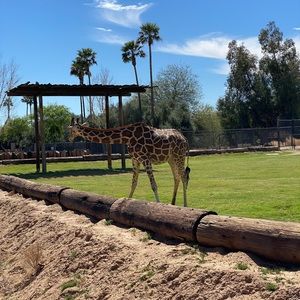 Meet your Posher, Karime